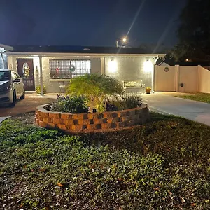 The Little Paris , Tampa United States